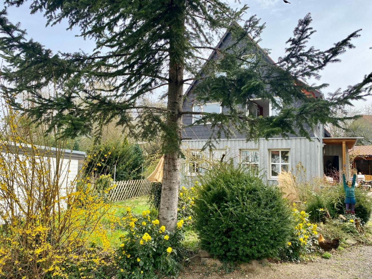 Gronocottage Bad Harzburg Buitenkant foto